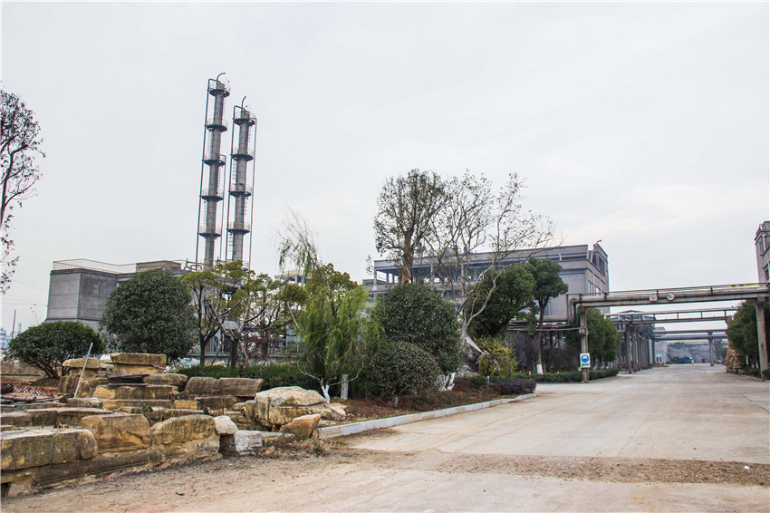 ������ʱ�������ǲ���(�й���)�ٷ���վ